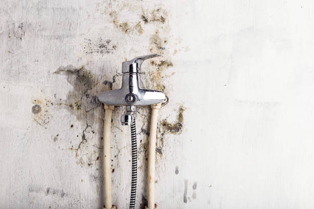 Professional Mold Remediation in Destin, FL